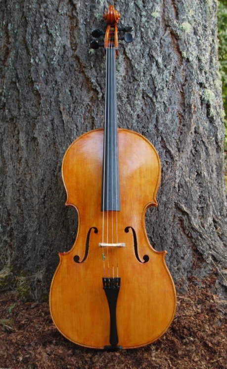 Davidov model cello